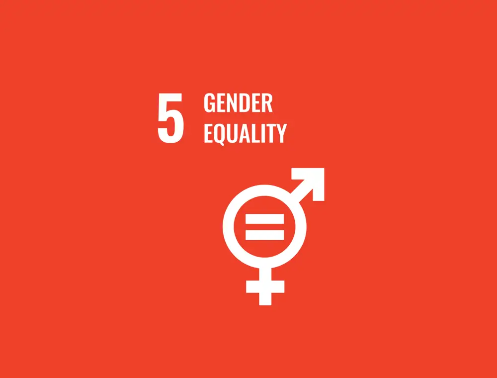 UN Sustainable Development Goals 2015-2030