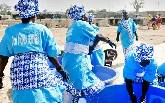 UN Women 
 UN Media